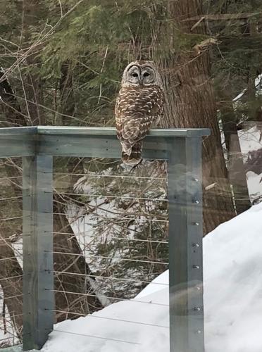 Reader Pics: March 21