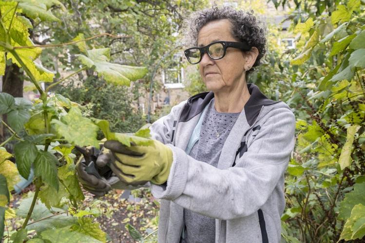 ‘Revolutionary’ new AI specs help people with dementia to live independently