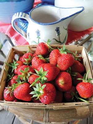 It's been a berry good year