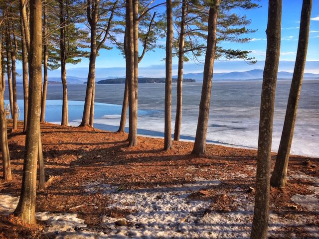 Reader Pics: April 8