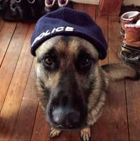 Belmont police in dogged search for donation thief