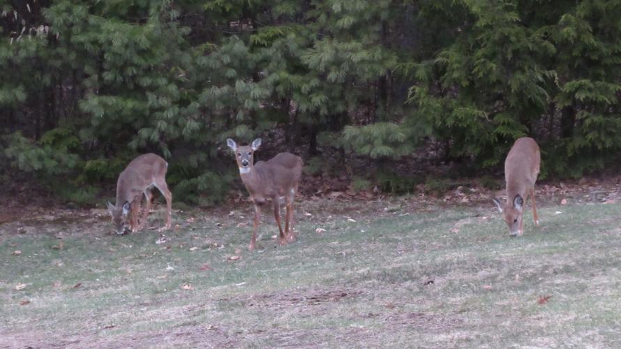 Reader Pics: April 23