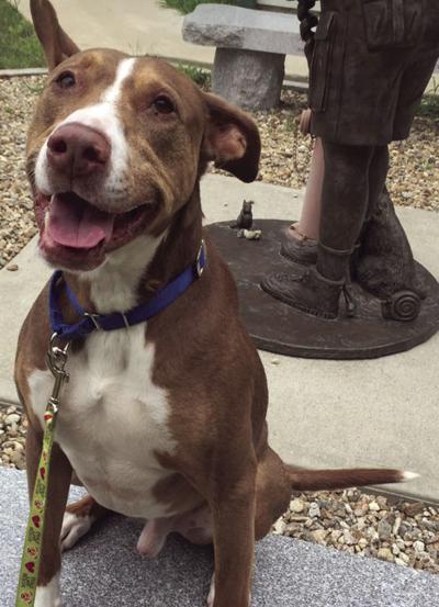 01-22 Pet of Week Montey