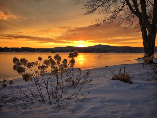 Reader Pics: Jan. 30