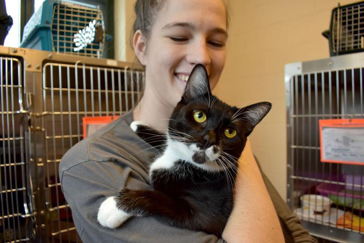 11-21 Adopt-A-Thon cat