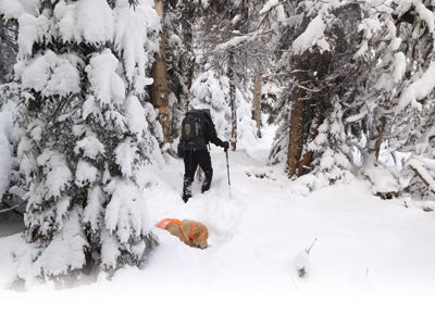 Lakes Region Hiking — Hike smart – stay safe