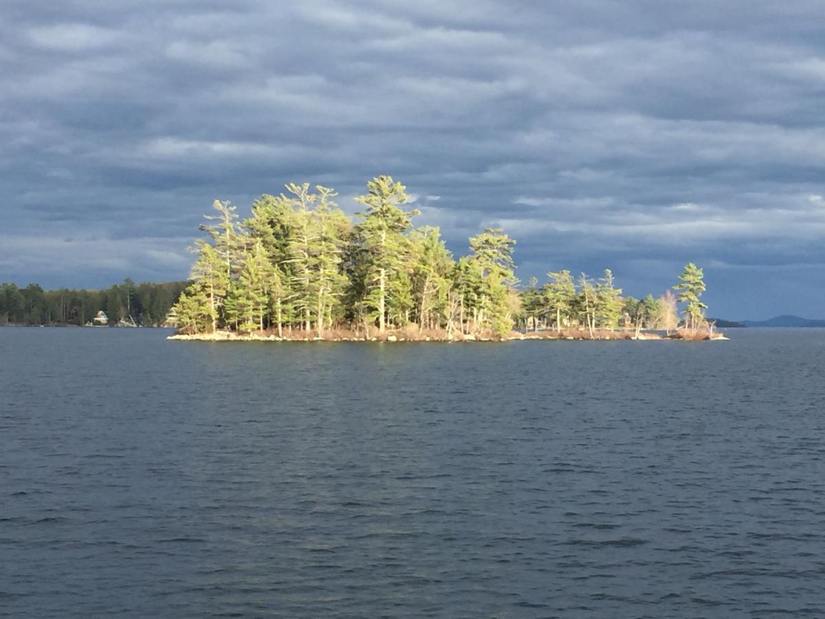 Reader Pics: June 3