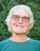 Sheryl Anderson, Democrat