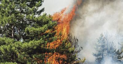 Flooding, forest fires