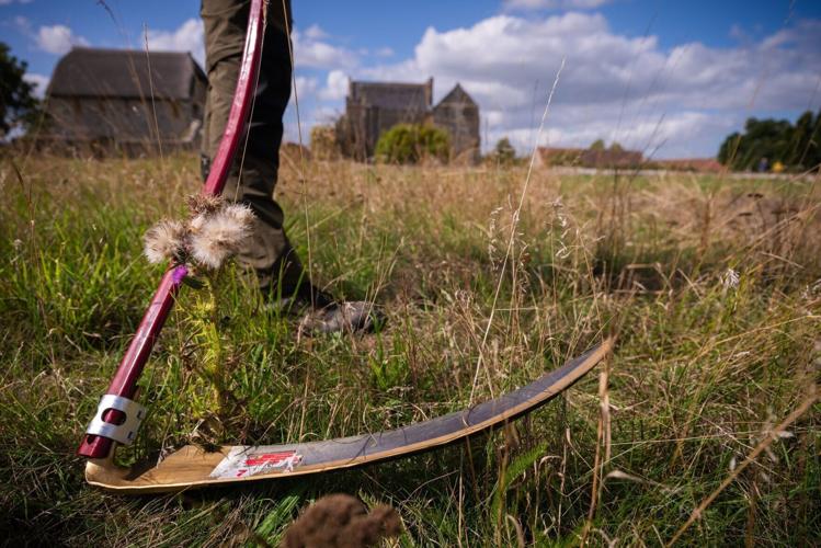 English Heritage using ancient scything methods to help protect rare bumblebee