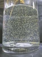 Lake Winni cyanobacteria warnings lifted