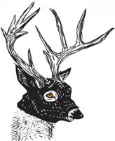 Police log a pair of Bambi break-ins