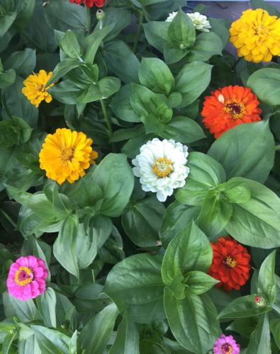 Reader Pics: July 19