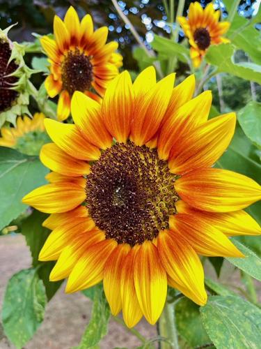 Reader Pics: Sept. 17