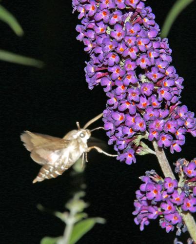 Reader Pics: Aug. 23