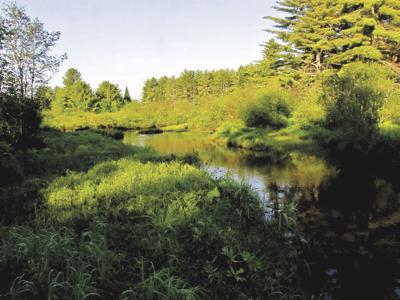 Pine River
