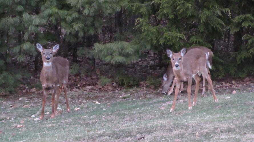 Reader Pics: April 23