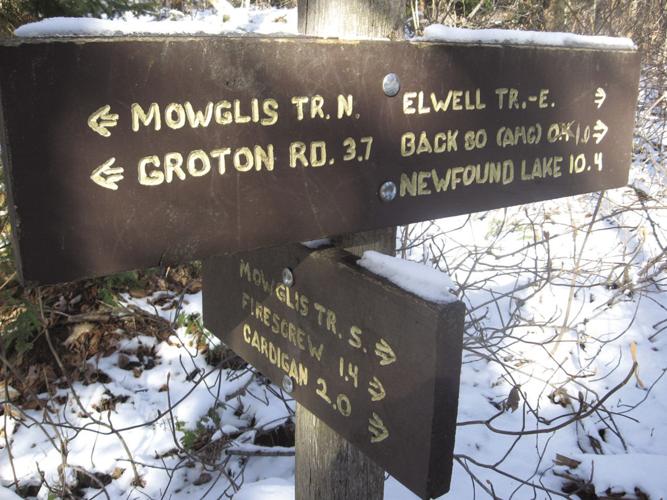 11-20 OUTDOORS IMG_3529.JPG