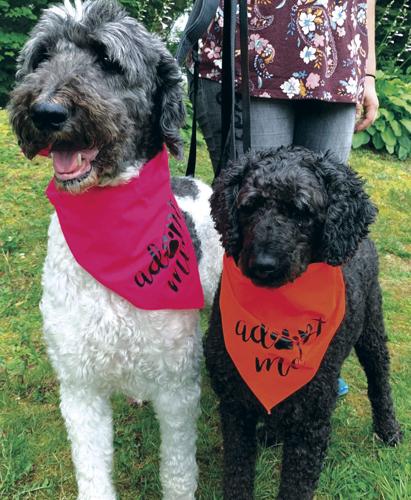 07-23 POW b and b.jpg