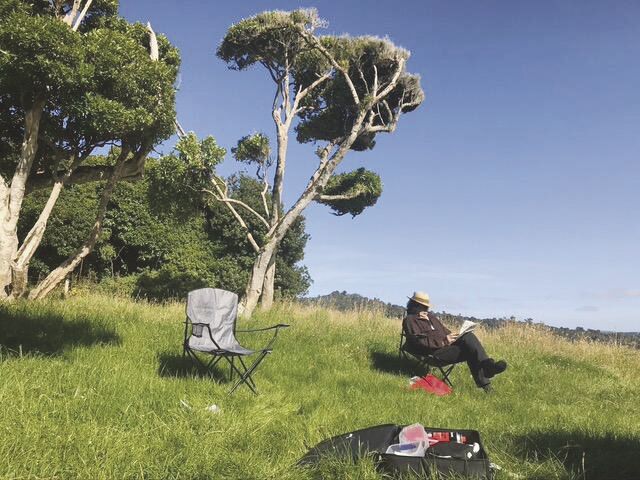 picnic