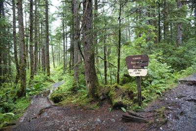 A sign on a dirt hiking trail in the Tongass National Forest in southeast Alaska points to naturalist John Muir's cabin.