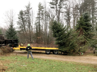 Making spirits bright