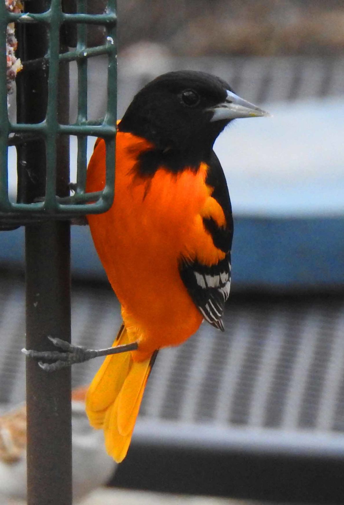 Reader Pics: May 9