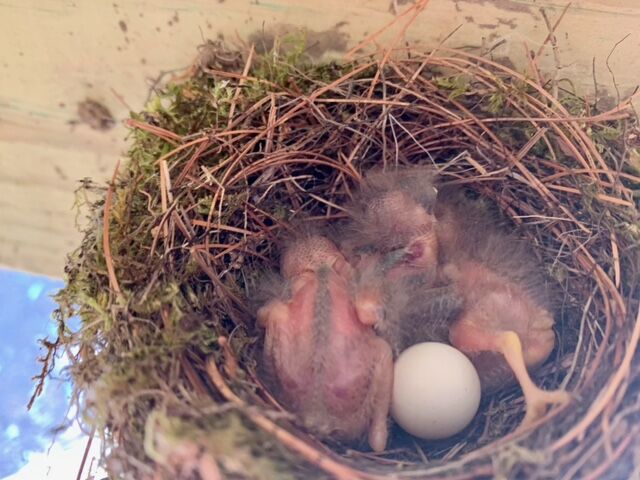 Reader Pics: June 19