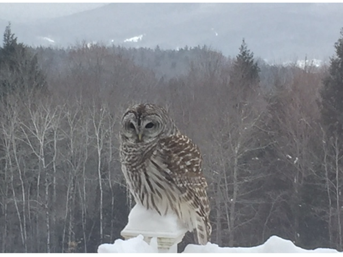 Reader Pics: Jan. 19