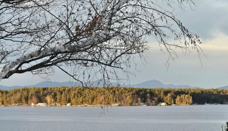 Reader Pics: Dec. 27