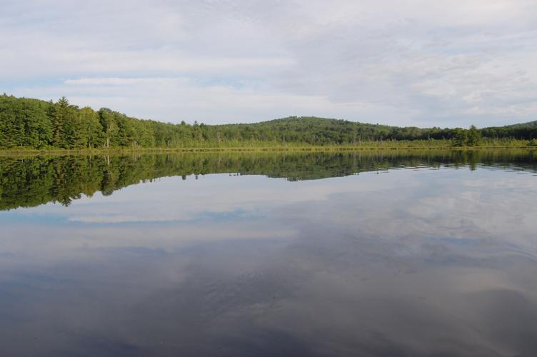07-31 Page Pond pond