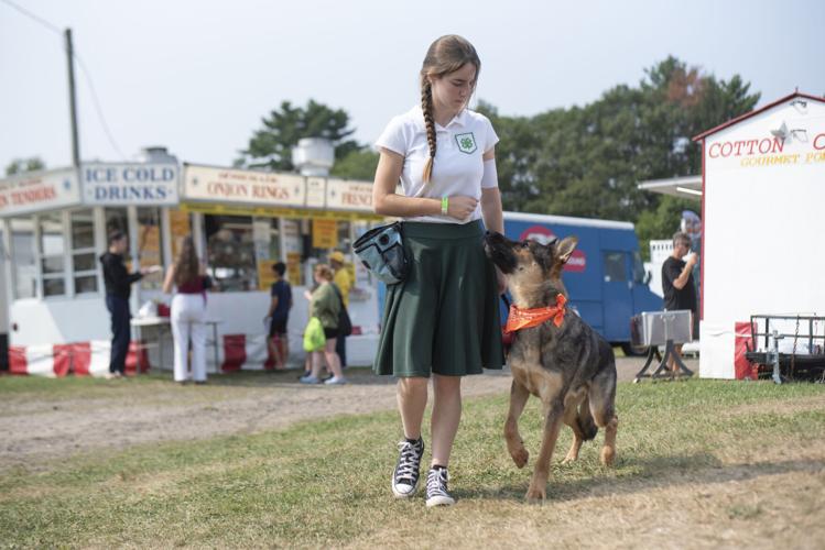 Jenny Wood and Apollo