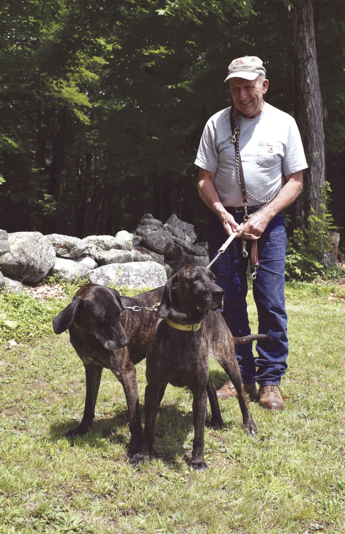 bear hunting videos with hounds