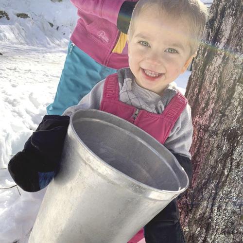 Backyard sugaring 4