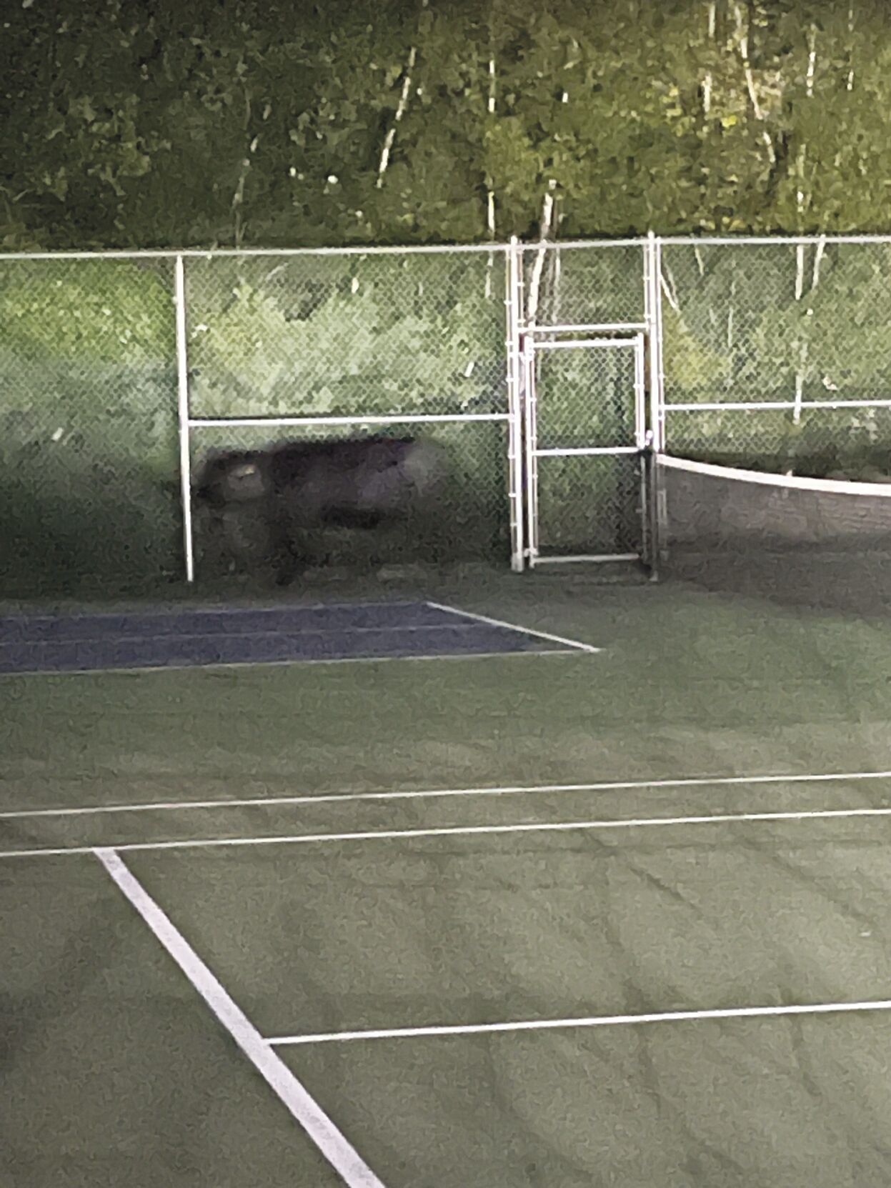 Tennis courts