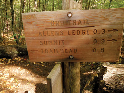 Lakes Region Hiking — Hedgehog: a small mountain with big views