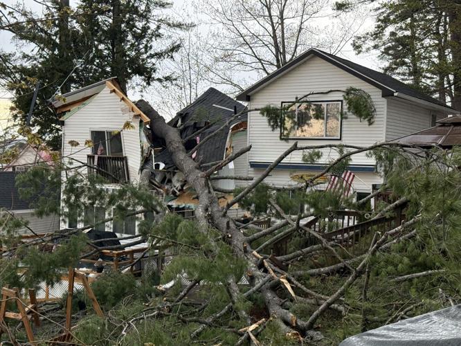 Tree down