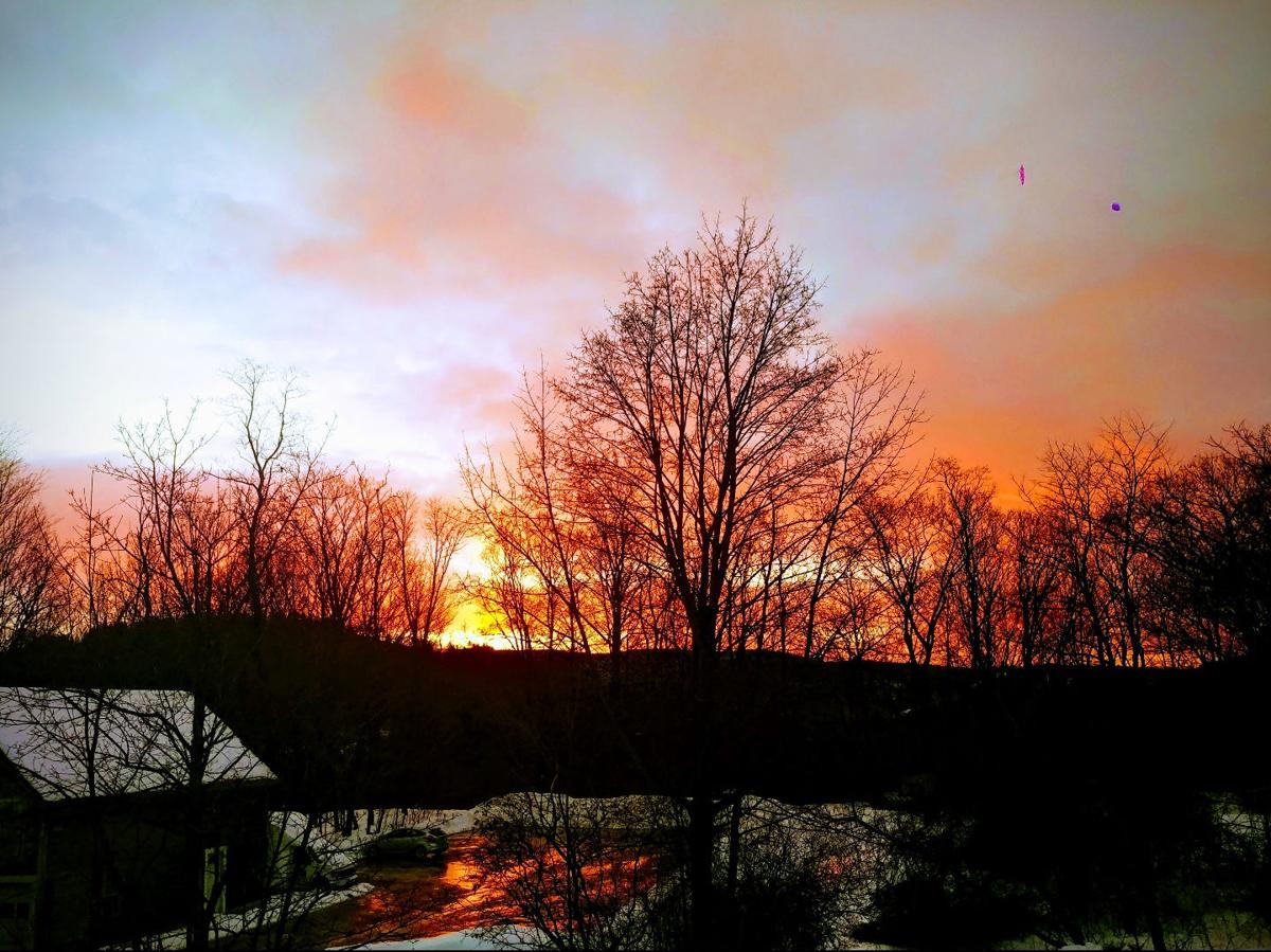 Reader Pics: Feb. 4