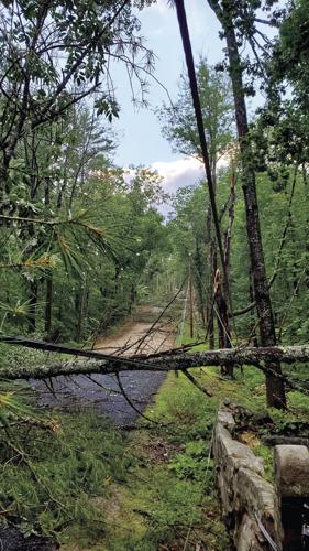 Heavy Storm Topples Trees Disrupts Power In Northern Lakes Region