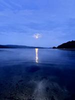 Reader Pics: July 31