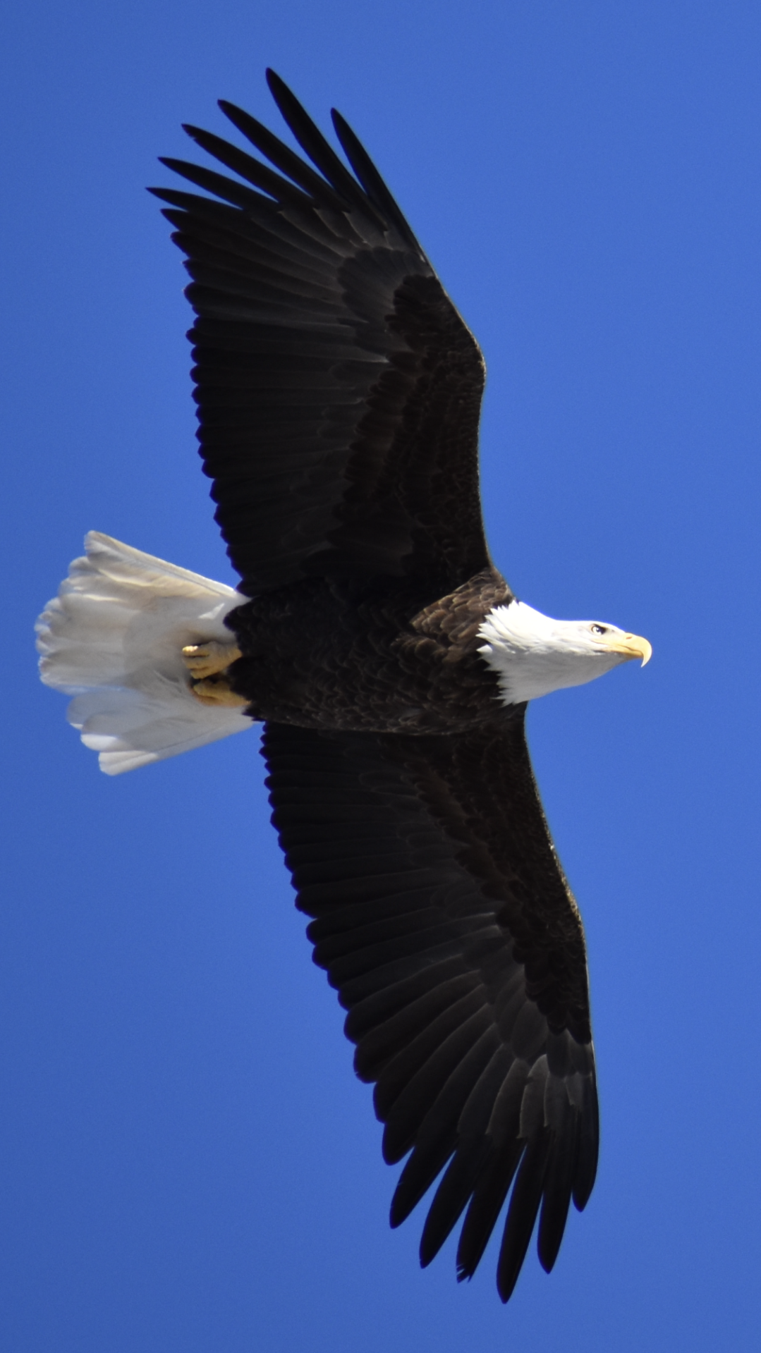 Reader Pics: Feb. 9