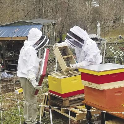 03-16 COM bee school one
