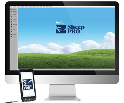 Paragon Adds Ramstrong Equipment and SheepPro to Ephrata Lineup