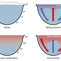 Fall Turnover Dive in and understand how the approach of fall changes the lake ...