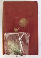 Bayswater’s Find of the Week on the Used Book Floor: July 6