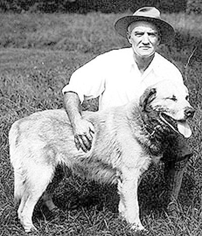 The most famous dog in the world