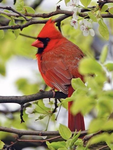 Reader Pics: May 8