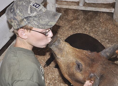 03-17 4-H Fair-Pig.jpg