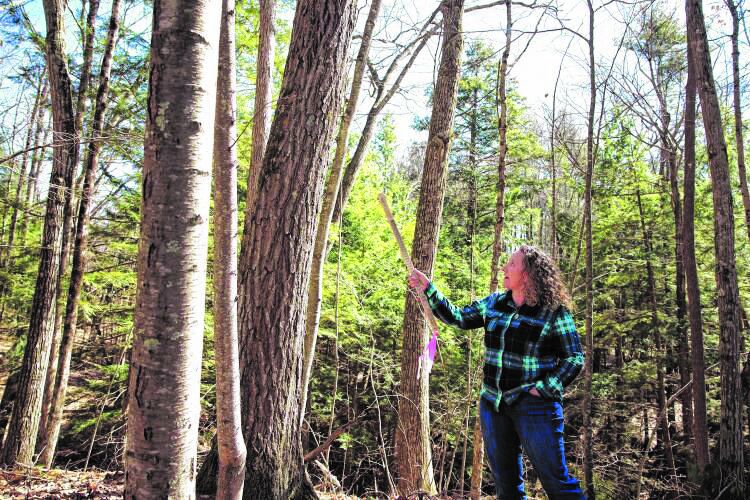 Measuring circumference