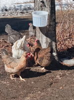 New year of new offerings at the Belknap Mill